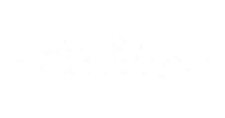Hozza Photography logo