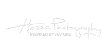 Inspired by Nature