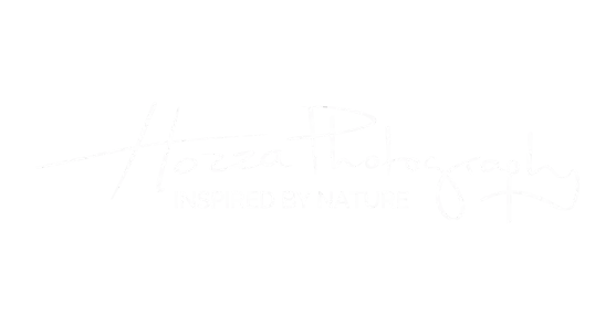 Inspired by Nature